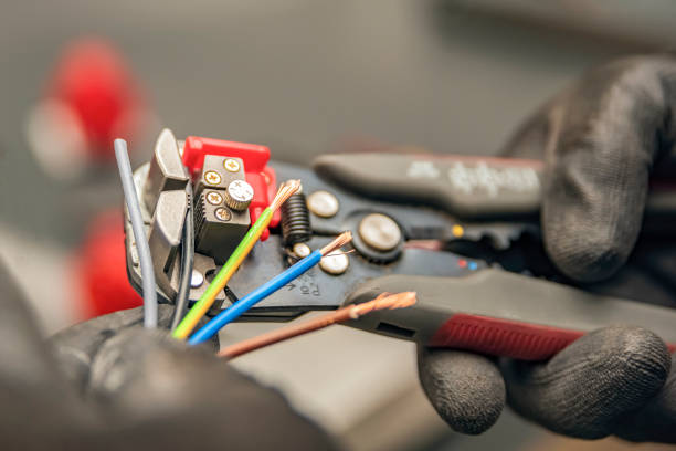 Best Ceiling Fan Installation Electrician  in Alamo, GA